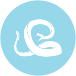 Змея: Характеристика знака